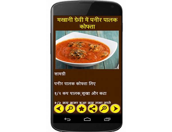 Punjabi and Chinese Recipe in Hindi for Android - Download the APK from Habererciyes